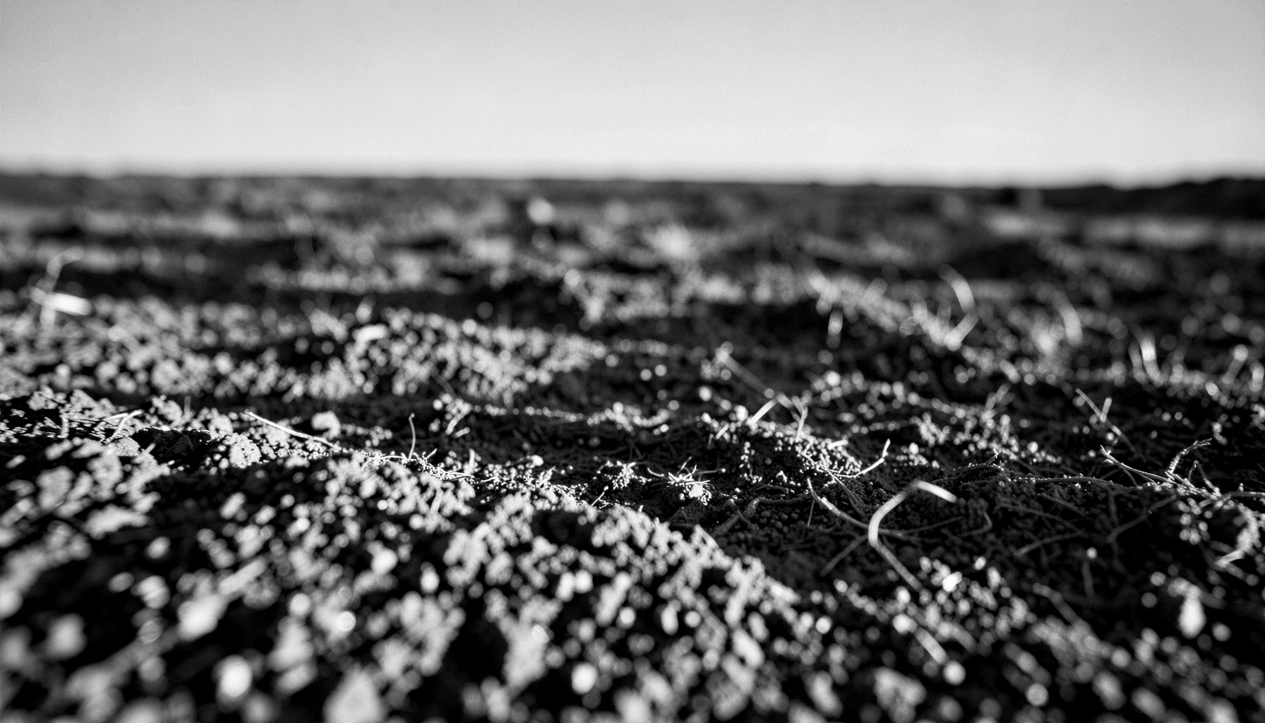Wide black-and-white panoramic photograph of a rough outdoor terrain, layered shadows stretching across a muted horizon